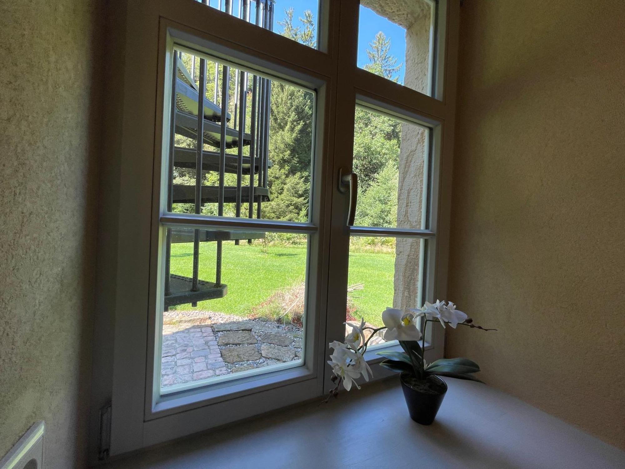 Ferienwohnung Parkblick Im Badehaus Rosenthal-Bielatal Exterior foto